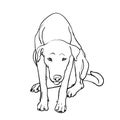 Drawing of sad stray dog Royalty Free Stock Photo