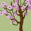 1401 Sakura, drawing, sakura tree with flowers, vector illustration, for different design