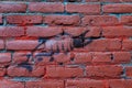 Drawing of salmon on brick wall