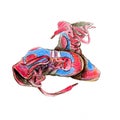 Drawing of sambo fight shoes hand dreawn by colour pencils