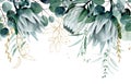 watercolor drawing. seamless border with tropical flowers and leaves. protea flowers and eucalyptus leaves with golden elements Royalty Free Stock Photo