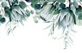 watercolor drawing. seamless border with tropical flowers and leaves. protea flowers and eucalyptus leaves Royalty Free Stock Photo