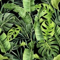 watercolor drawing. seamless pattern with tropical leaves of palm, monstera. green leaves of rain forest on dark background