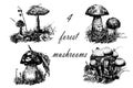 Drawing set of 4 forest mushrooms, sketch graphics hand drawn illustration