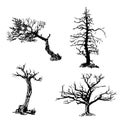 Drawing set of four trees sketch illustration
