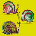 Drawing set of three snails