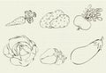 Drawing of six vegetables on a sheet of student notebooks Royalty Free Stock Photo