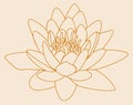 Sketch Indian Lotus Flower and Pattern Editable Outline Illustration Background