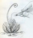 Drawing a sketch of a plant Royalty Free Stock Photo
