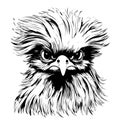 Drawing sketch style illustration of a Silkie, Silky or Chinese silk chicken, an bantam breed of domestic chicken