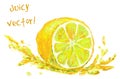 Drawing slice of lemon Royalty Free Stock Photo