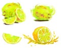 Drawing slice of lemon Royalty Free Stock Photo