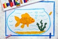 Drawing: Smiling goldfish in blue fishbowl. Fish with bubbles in glass Royalty Free Stock Photo