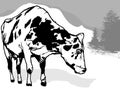 Drawing of Spotted Dairy Cow from Front View