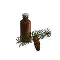 drawing spruce essential oil Royalty Free Stock Photo
