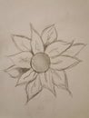 Drawing Sunflower Artistic Sketch Flower