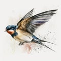 Drawing Swallow Paint Generative AI