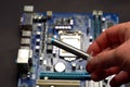 Drawing thermal paste on computer processor. Installing a cooling system on a CPU processor Royalty Free Stock Photo