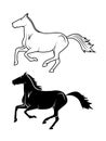 Drawing thoroughbred stallion