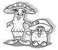 Drawing of a Toadstool and a Boletus Like a Couple of Mushrooms