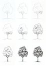 Drawing a tree