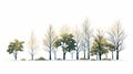 Panoramic Winter Forest Illustration With Detailed Miniatures
