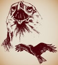 Drawing of two Eagles Royalty Free Stock Photo
