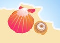 Drawing of two seashells by the sea Royalty Free Stock Photo
