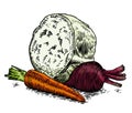 Drawing of vegetables for cooking borsch