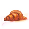 Drawing watercolor croissant on white background