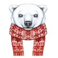 Drawing with a watercolor of a polar bear in the technique of a cartoon, on a theme of the new year, Christmas, in a knitted scarf