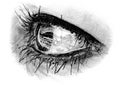 Drawing Of WomanÃ¢â¬â¢s Eye in Three-Quarter Profile