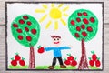 Drawing: young, smiling man is holding apples. Apple trees in the orchard Royalty Free Stock Photo
