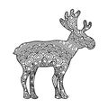 Drawing zentangle for deer adult coloring page Royalty Free Stock Photo