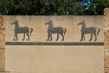 Drawings of antique horses on the wall of Carthage-archaeological Museum in Tunisia. Background, copy space