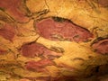 Drawings from the ceiling of Altamira cave in Santillana Del Mar, Cantabria, Spain