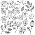 Drawings of flowers and leaves theme 1 Royalty Free Stock Photo