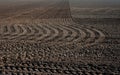 pattern of traces of tractor tires on arable land while preparing the land for sowing