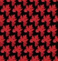 Drawn autumn background with beautiful leaves . Seamless pattern. Red maple leaves, Vector isolated or black background Royalty Free Stock Photo