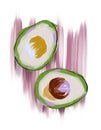 Drawn avocados. Raster imitation of a painted oil painting