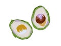 Drawn avocados. Raster imitation of a painted oil painting