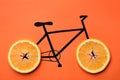 Drawn bicycle with orange slices instead of wheels on coral background, top view