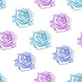 Drawn biue roses seamless background. Flowers illustration front view. Pattern in romantic style for design of fabrics Royalty Free Stock Photo