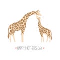 Drawn cute mom giraffe and baby giraffe on white background.