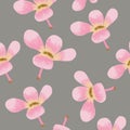 Drawn with digital tools. Abstract image. Pink flowers. Royalty Free Stock Photo