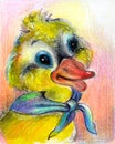 The drawn duckling