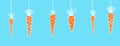 Drawn a few carrots dangling on a string on blue background