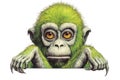 Drawn of a green Allen\'s Swamp Monkey with brown eyes, created by Generative AI