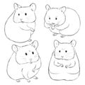 Drawn by hand sketches of cute cartoon hamsters on white background. Illustration of little animals drawn like pencil sketches. Royalty Free Stock Photo