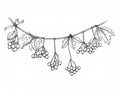 Drawn Illustration of Hanging Berries and Leaves on a Vine Black and White Drawing on White Background for Royalty Free Stock Photo